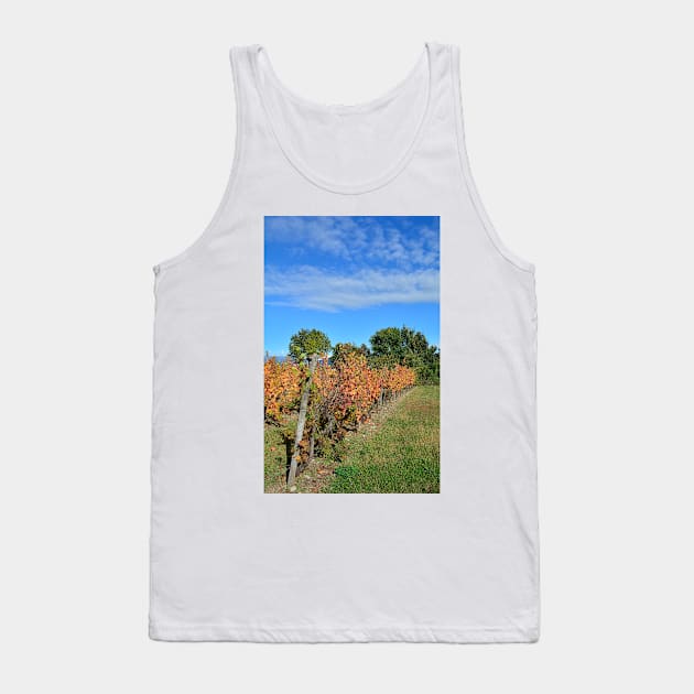 Autumnal Grape Vines Tank Top by jojobob